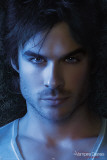 Vampire Diaries-Damon Face Poster
