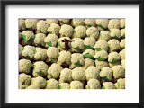 Ballots de Coton Posters par Yann Arthus-Bertrand