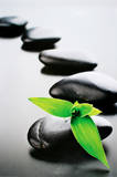 Zen Stones-Green Posters
