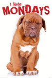 I Hate Mondays Poster