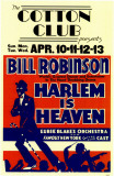 Harlem es el cielo Lámina maestra
