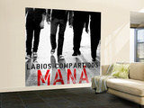 Mana-Labios Compartudos Wall Mural – Large Mana-Labios Compartudos Wall Mural – Large