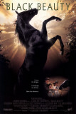 Black Beauty Masterprint