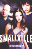 Smallville Ensivedos