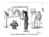 "I'm an elephant podiatrist—what do you do?" - New Yorker Cartoon Premium Giclee Print by Zachary Kanin