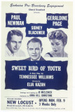Sweet Bird Of Youth Masterprint