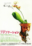 Adaptation (El ladrón de orquídeas) Lámina maestra