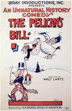 Pelican's Bill Photo