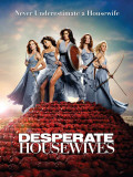 Desperate Housewives Masterdruck