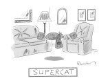 A cat with a cape is seen sleeping and levitating in a living room.  - New Yorker Cartoon Premium Giclee Print by Danny Shanahan