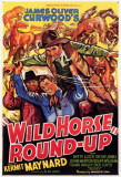 Wild Horse Round Masterprint