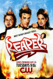 The Reaper Masterprint
