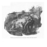 "I always give them the best of care, lady. Politics don't enter into it." - New Yorker Cartoon Premium Giclee Print by Richard Decker