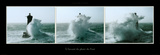 A l'Assaut du Phare du Four Prints by Guillaume Plisson