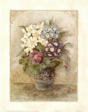Auriculas I Prints by Charlene Winter Olson