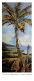 Bananas at Cook's Landing Poster by Deborah Thompson