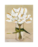 Ayrum Bouquet Posters by Galley 