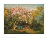 Blossoming Lilac in the Sun 1873 Lámina por Claude Monet Blossoming Lilac in the Sun 1873 Lámina por Claude Monet