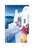 Bougainvillaea Pots Póster por Georges Meis Bougainvillaea Pots Póster por Georges Meis