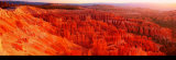 Bryce Canyon Posters par Alain Thomas
