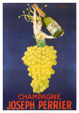 Champán Pósters por Colette Stall