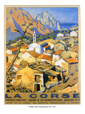 Corse Reprodukcje autor Malcolm A. Strauss Corse Reprodukcje autor Malcolm A. Strauss
