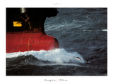 Dauphin Pilote Prints by Philip Plisson