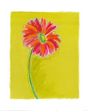 Daisy Pósters por Susan Zulauf