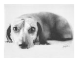 Dachshund Giclee Print by Lisandro Pena