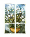 Daisies at the Window Art by Sonia P.