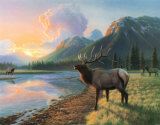 Elk I Print by Richard Burns
