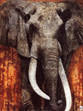 Elephant Reprodukcje autor Fabienne Arietti Elephant Reprodukcje autor Fabienne Arietti