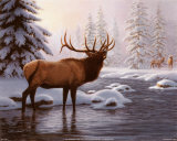 Elk II Posters by Richard Burns