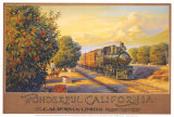 Mini "Wonderful California" Affiches par Kerne Erickson