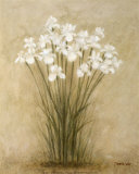 Debra Lake - Floral Sprays Plakát Debra Lake - Floral Sprays Plakát
