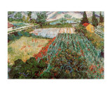 Field of Poppies, Saint-Remy, c.1889 Prints by Vincent van Gogh