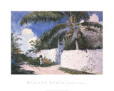 Garden in Nassau, 1885 Posters by Winslow Homer