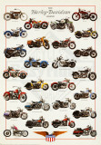 Harley Davidson Legend Posters