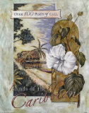 Islas del Caribe Arte por Roy Avis Islas del Caribe Arte por Roy Avis