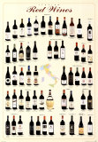 Italian Red Wines Posters Italian Red Wines Posters