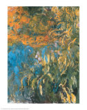 Iris, 1914-1917 Posters par Claude Monet