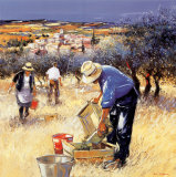 La cueillette des olives Pôsters por Andre Deymonaz La cueillette des olives Pôsters por Andre Deymonaz