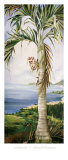 Kohala Palm Posters by Deborah Thompson