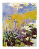Les Agapanthes Prints by Claude Monet