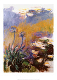 Les agapanthes Prints by Claude Monet