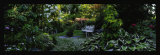 Les jardins d'Angelique Pósters por Alain Le Toquin Les jardins d'Angelique Pósters por Alain Le Toquin