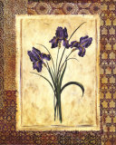 Moroccan Iris Prints by Richard Henson