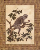Monkey in a Tree I Posters by Dianne Krumel