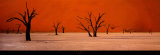 Namibie Posters by Philippe Bourseiller