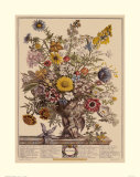 Novembre Affiches par Robert Furber